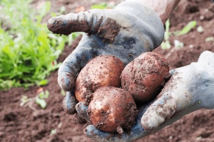 ����� �� ���������: ��� ���������� � ������������ � ����� ����� �������