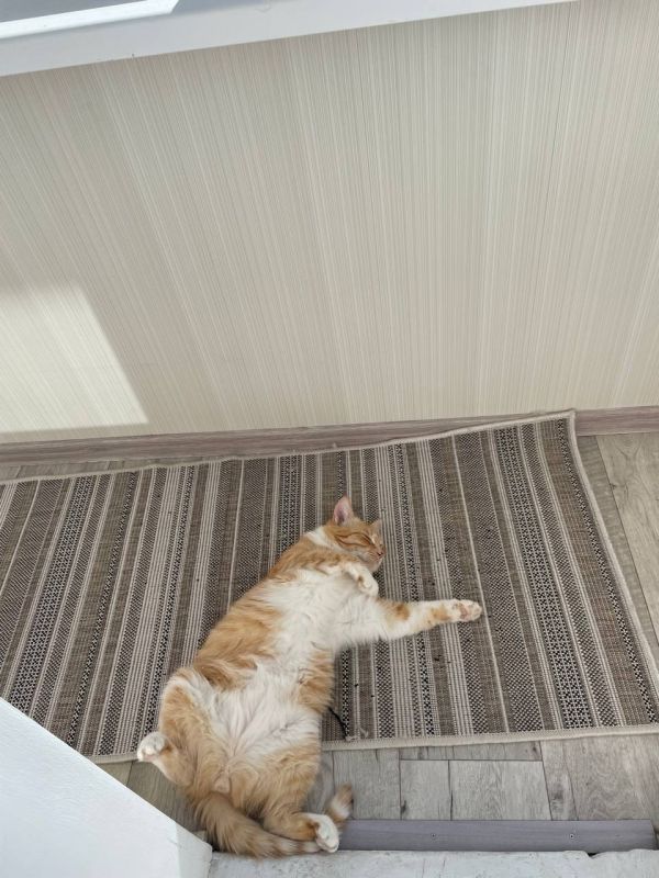 � ����� ���� ��� ��������. �������� ��� �� ��������� @ampravda