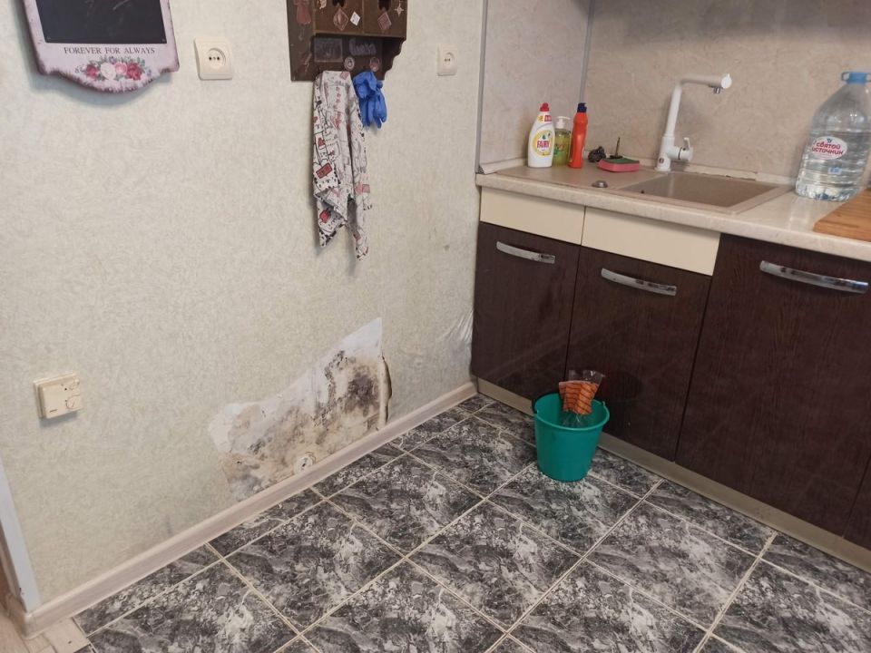 ������� � ��������: ��� ����� �� ������� ��������� � �������� �������