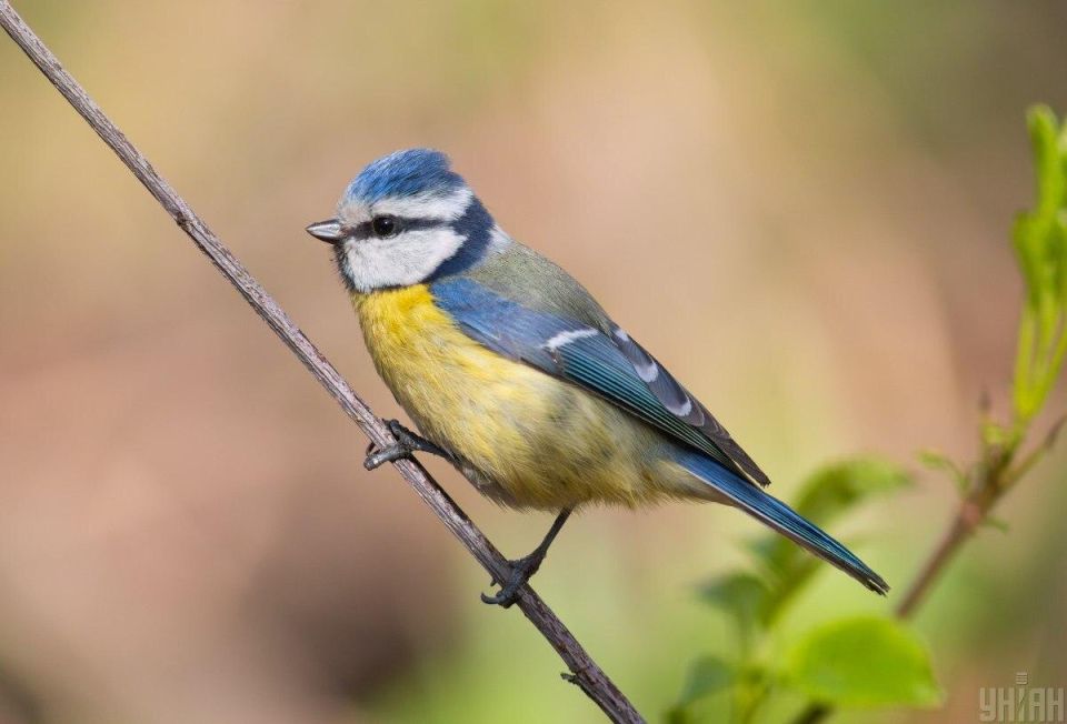 ������ � ����: ������������ ����� � �������� ��������