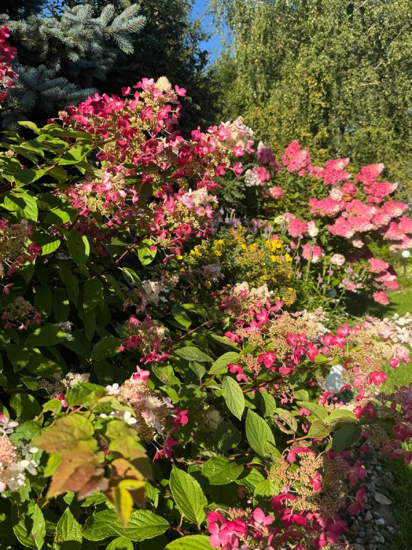 ���������: ������� ����������