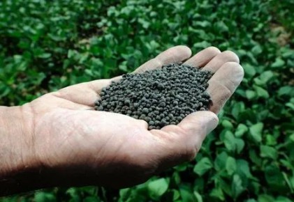 ��������� � ���������� ��������� ��� ������ �������