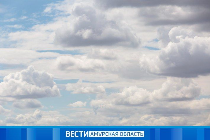 ������� ������: ������� ������ �� 12 ������ � ���������