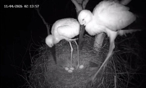 ������ ������� � ��������� ����: � ������ ����� � ��� ������� ���������� �����