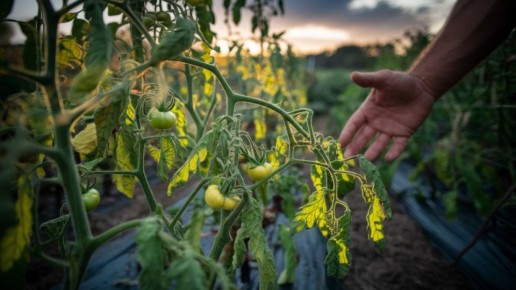 ������������: ��� ������ ������ �� ����������� �������