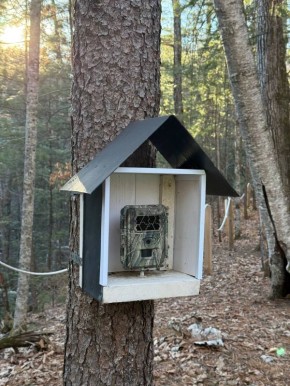 ������� �����: �����������, ���� ������� � ������ ����