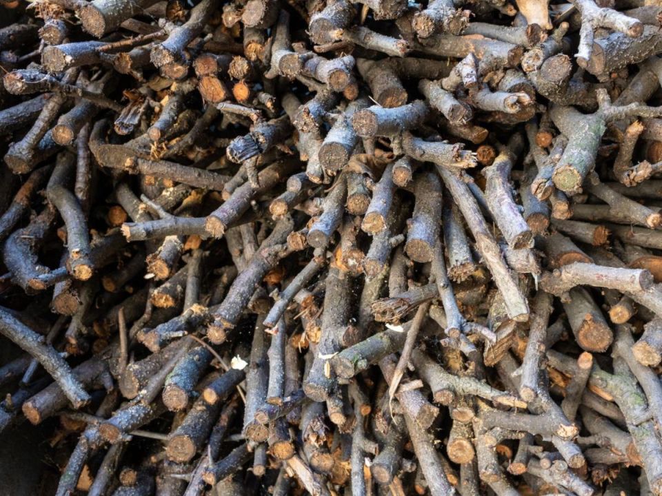 ������ ����� � ����� ���� � ��� ��������� ��� �������� ���������