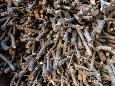 ������ ����� � ����� ���� � ��� ��������� ��� �������� ���������