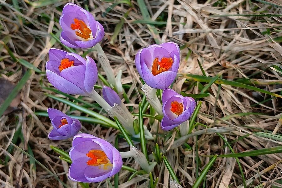 ������ ���� � ��������� ������: ��� ������ ��������, ���� ������ �������