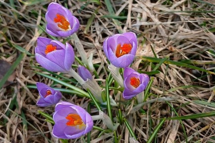 ������ ���� � ��������� ������: ��� ������ ��������, ���� ������ �������