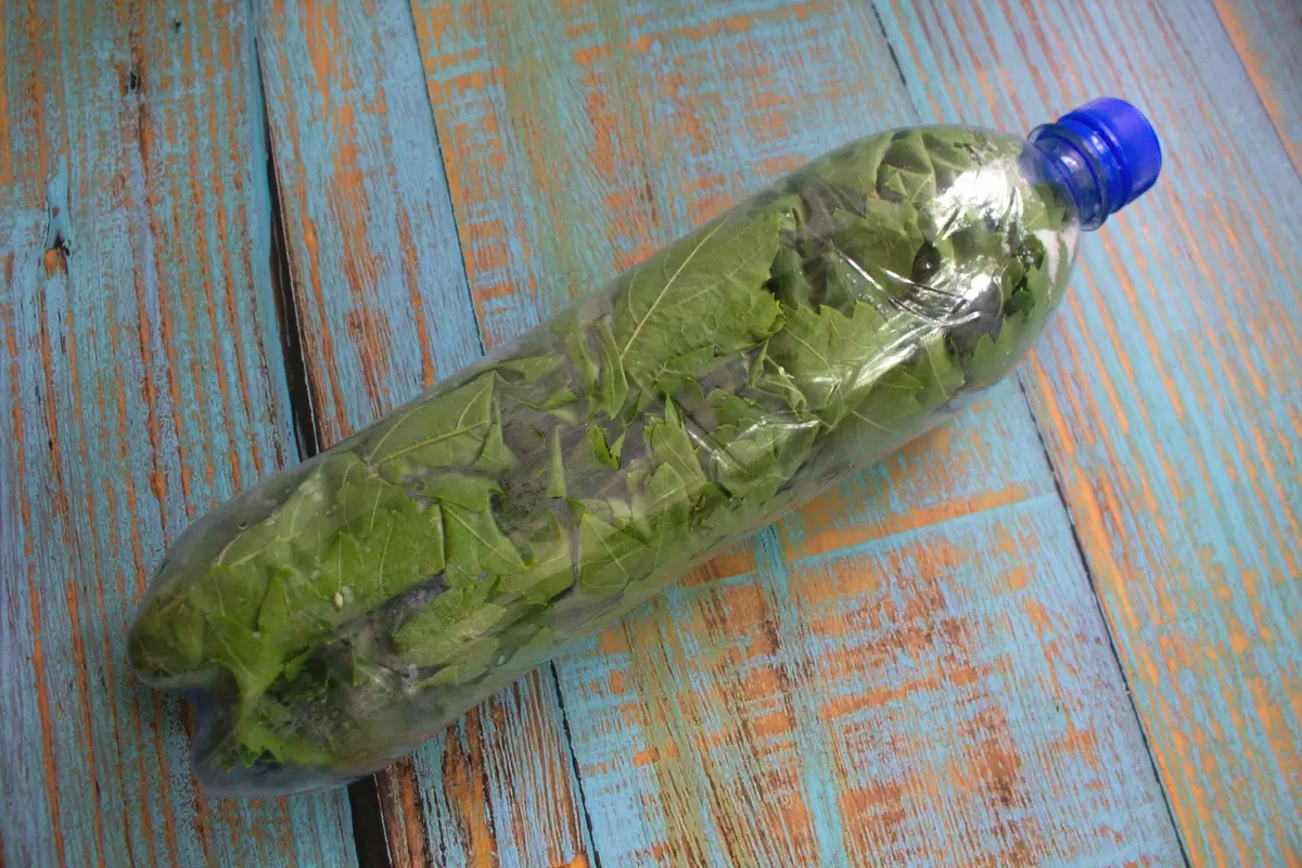 Секреты заготовки виноградных листьев: простые методы на зиму