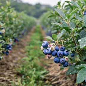 ������������� ��������: 5 ������ ��� ��������� ������� ������