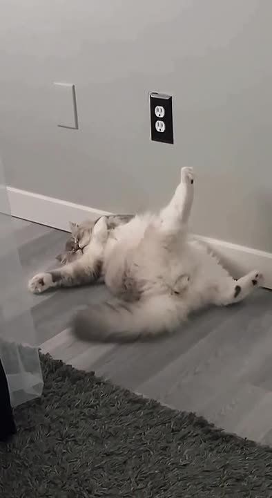 ������ ����! . ������� ����