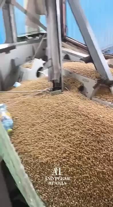 � �������� ������� ����� ���������� �������� � ����