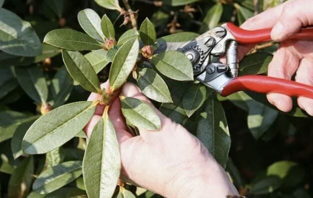 ������������: ��� ��������� �������� ��� �������� � �������