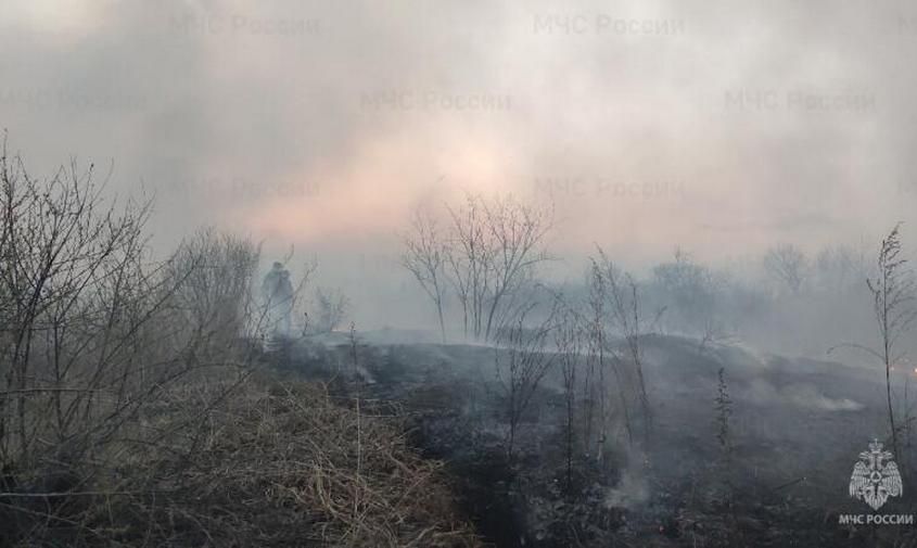 �� �������� ����� �������-������������ ������������ �������� ������� �������� �� ������� ���������� ����� �������������� 11 ���, �������� �����-������ �������� ���������� ��� ������ �� �������� �������