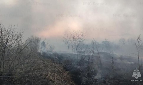 �� �������� ����� �������-������������ ������������ �������� ������� �������� �� ������� ���������� ����� �������������� 11 ���, �������� �����-������ �������� ���������� ��� ������ �� �������� �������