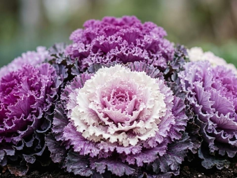 ��� ��� ������� ����: ��� ���������� �������� ���� � �������� ������ ������