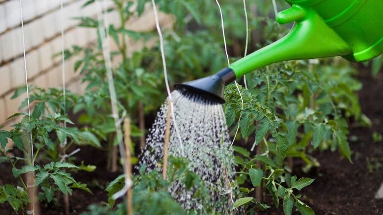 ���������� ����� ������: ��� ��������� ������ ������� �� 35% � ������������ ���������