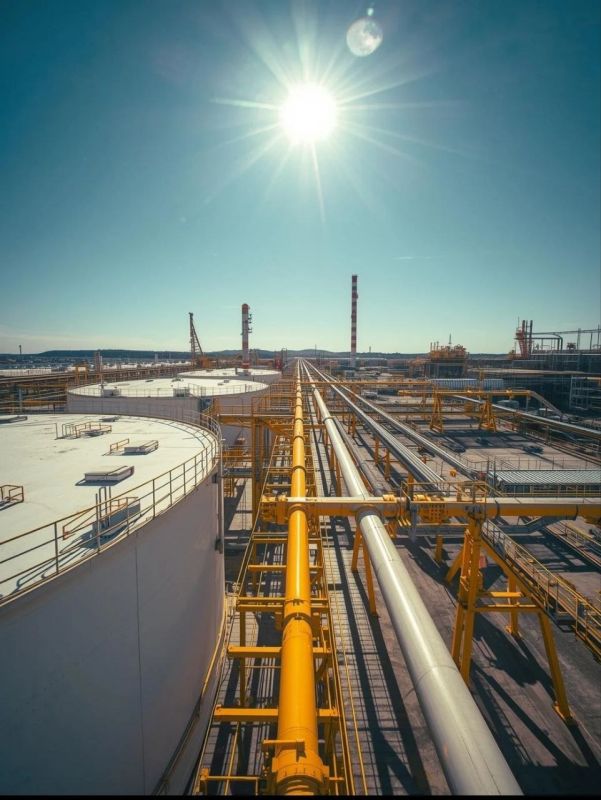 ����������, ���������, ���������