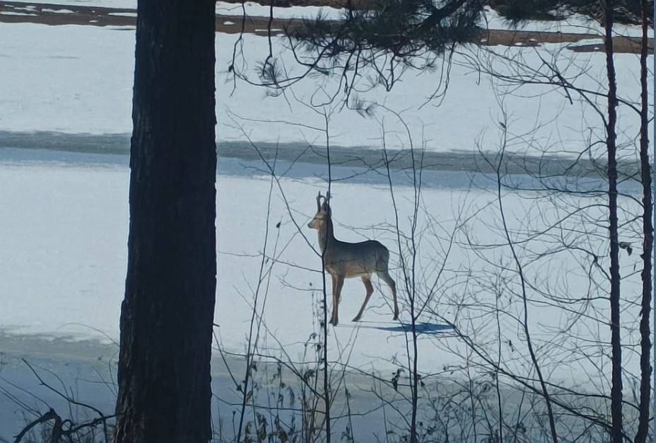 ��������, ����� ����������! ��� ����� ������ ��������� ���������� �� ���� ���� ����� � ����������� ������