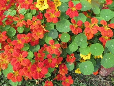 ���������: ��� ����� �������� ��� � ���� � ������������ ��������� �� ����������