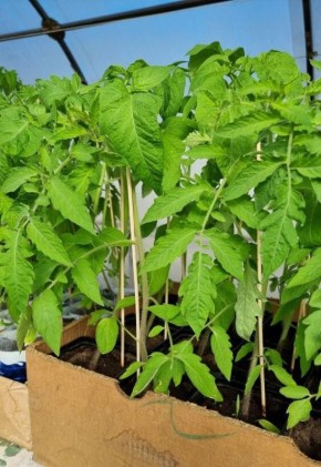 ����� ����� �� ��������: ��� ����� ����� � �������, ������ � ����������