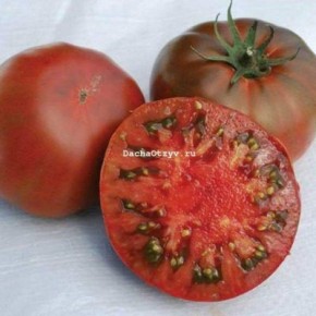 ����� ������ �����: ��������� ����� � �����-�������� ������ � ������� ������