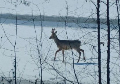 ����� ������ ��������� ���������� �� ���� ���� ����� ������������ ������