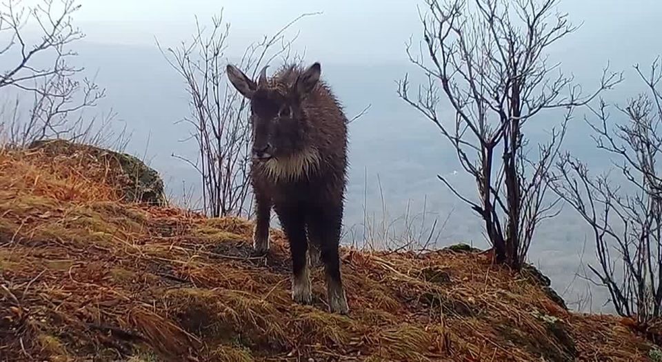 ���������� ���������� ������� ����������� ������� ��������� ������