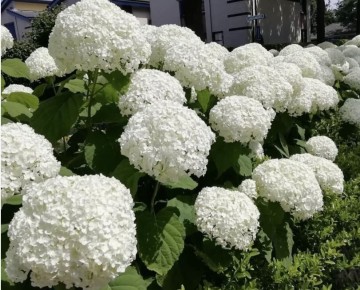 ������� ���������: �������� ������� ��� ���������� ������