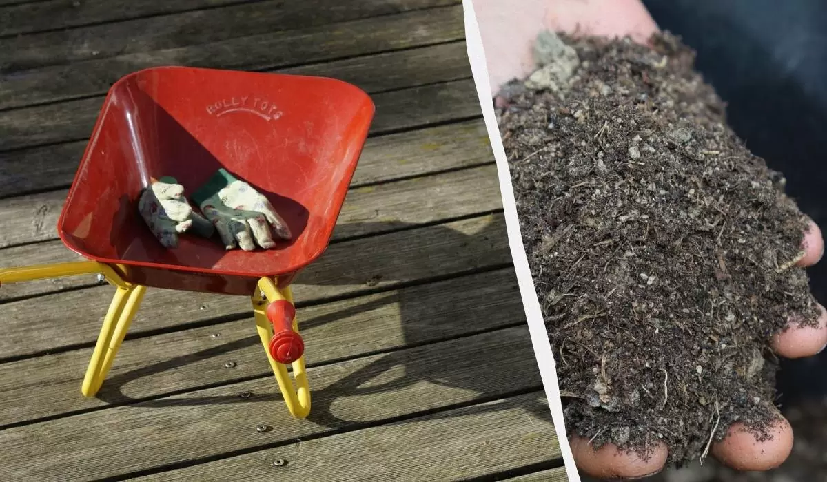 Способы защиты растений от зимних морозов без снега