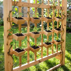 ������� ����� �� �������� ��������