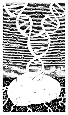 ��� ��������� ���� ���, ��� �� ����: ������������ ������� ��� �������������