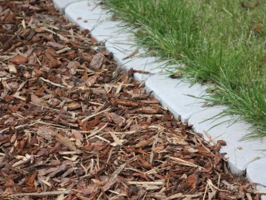 ������� �������������: ��� ���� �������� �������� ��� ��� �� ��������