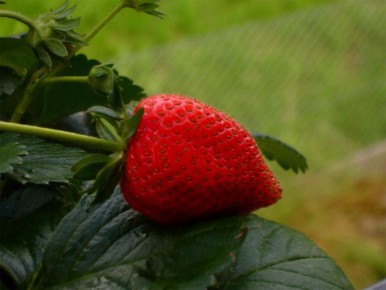 ��� �������� ����� ������ ��������: ������� ������� ��������