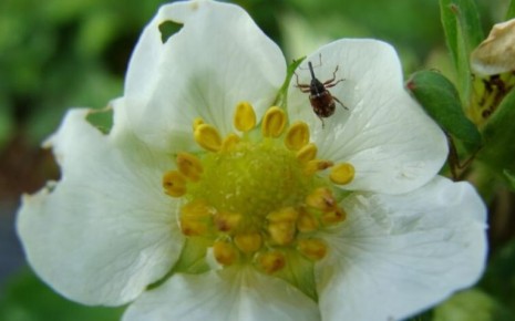 ��� ����������� ����� �������� �������� �������� �� ����������: ������� ��������� ������