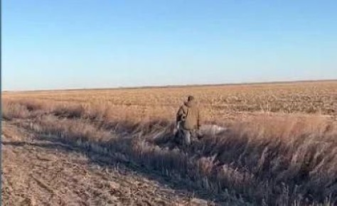 ��� � ������: ��� ������������ �������� �� ������������� ��������� �� ����������� � �������� �������