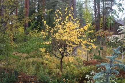 ������� ������������� ������ � ����������� �������