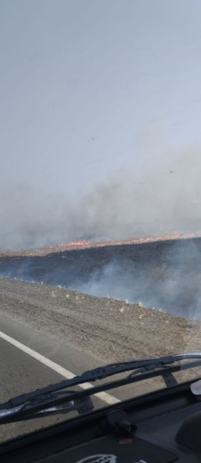 Наш подписчик заметил пал травы на дороге в Волково