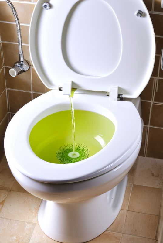 ��������� �������� ��������: ��� ���������� ��������� � ��� �� ������ � ������������