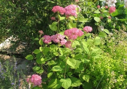 ��� ��������� ���������� � ��������� � ����: ������� ��������� ��������