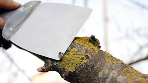 ��� ���������� �������� � ���� � ���������� �� �������� � ������