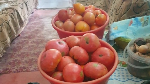 ��� �������� ���������� ������ �������: ������� ��������� ����������