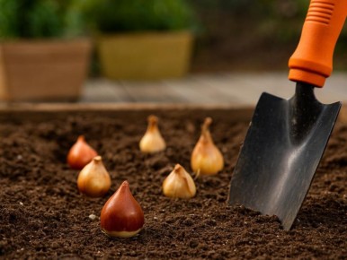 ��� �������� ���������������� ������ ��� ������� ����������: ������� ��������� ��������