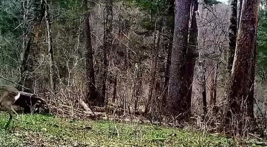 ��� ��� ��� �������� ������: ����� ������ ������ ����� �� ����� � ���������� ����