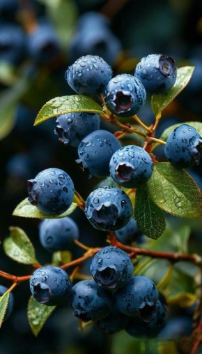 ����: ������ ���� ��������� ������ ������ ����� � ����� ����