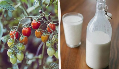 ��� ������ � ����� ����� ����� ����� �������� ��� ������� � ������� �������