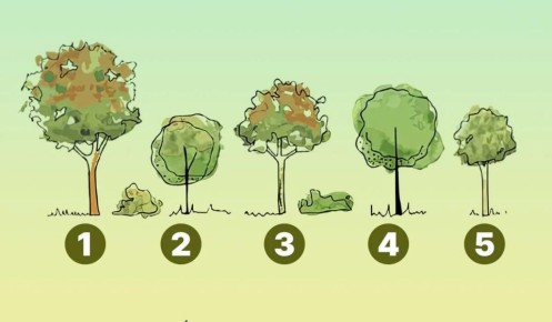 ����� ������ �� ��������? �������, ��������� �� ���������� � ������� ����� �����