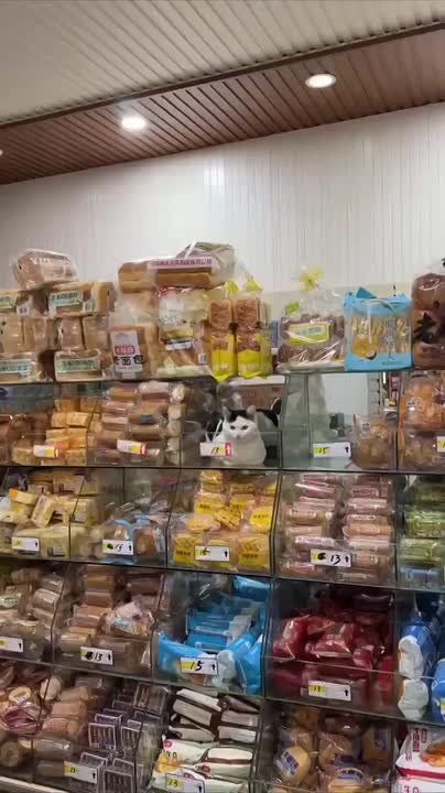 ������ ����!. ���� �� �������, ������ ����������